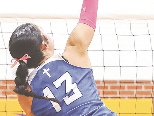 ACHS post wins over Elba, Palmer