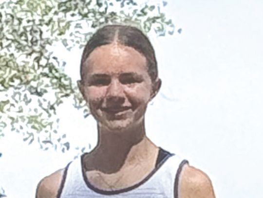 Anderson, Reigle lead ACHS runners