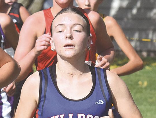 Brandl, Korus run well at state