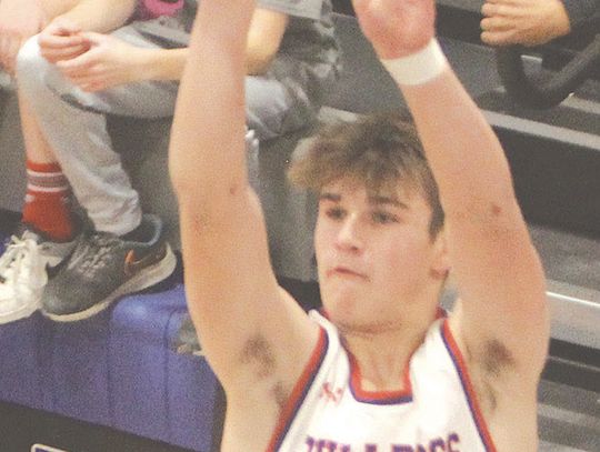 Brandl leads Bulldogs to win over LDNE