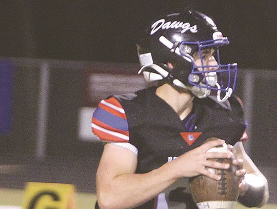 Bulldogs continue to fight, grow despite loss to Lourdes 48-14