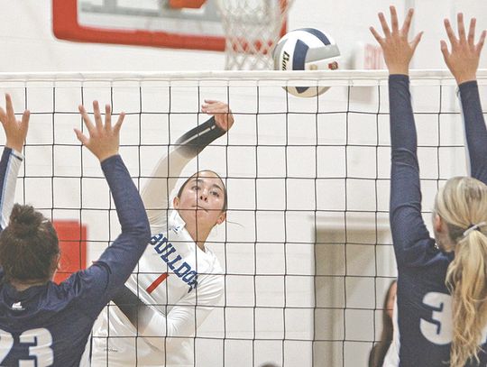Bulldogs determined in victory