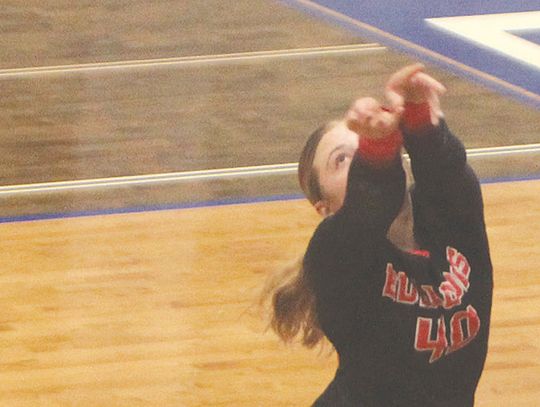 Bulldogs earn 3rd in EHC conference tournament