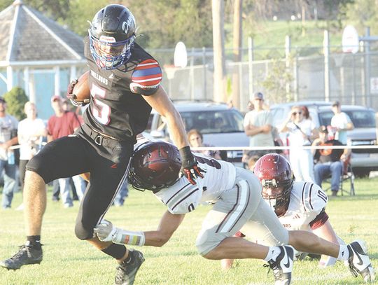 Bulldogs fall in opener