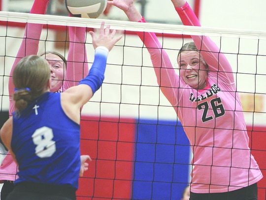 Bulldogs fall to Hastings SC in 5 set district final