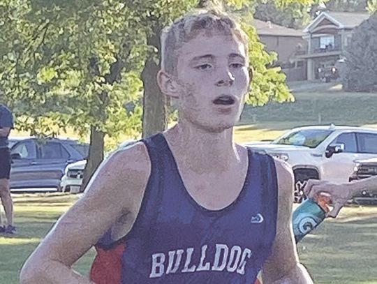 Bulldogs run in Albion meet