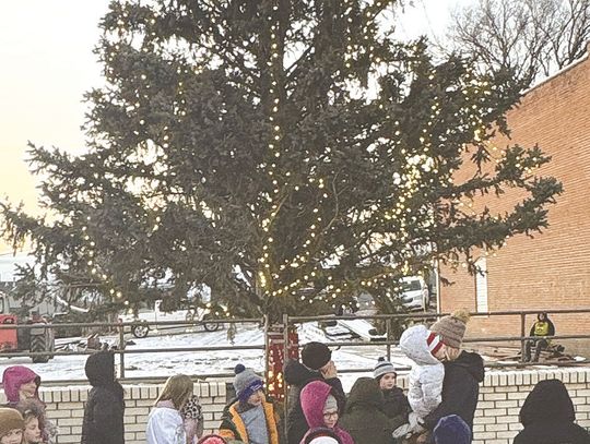 Christmas on Pine in Lindsay