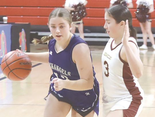 Defenders fall to Dundy Co./S