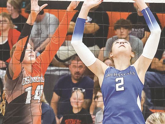 Defenders win 5 of 6 to improve record to 12-6