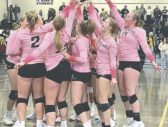 On to state: Bulldogs earn district title