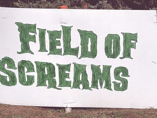 Skeletons take the field