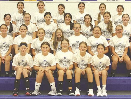 St. Francis volleyball camp