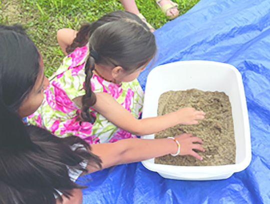 Summer fun at the library