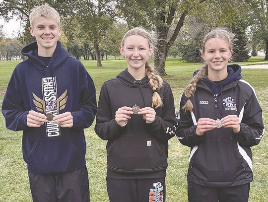 Three Defenders qualify for state at district cross country