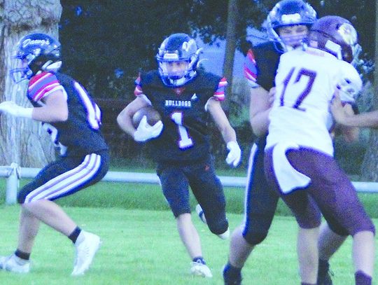 Tigers take down Bulldogs