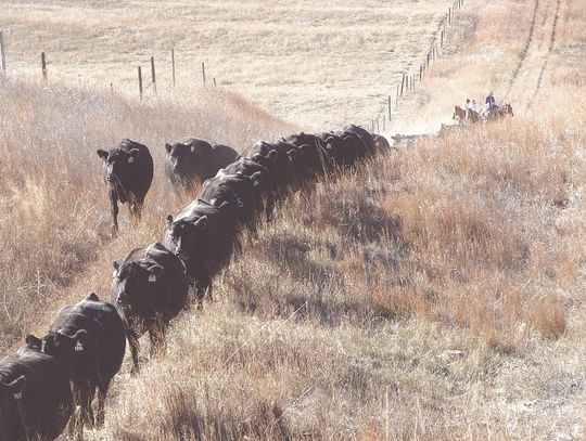 Water sits beneath farmland, but who owns it?