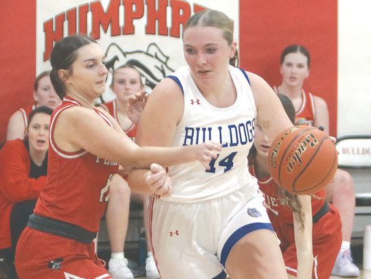 Young Bulldogs show fight in win over Plainview