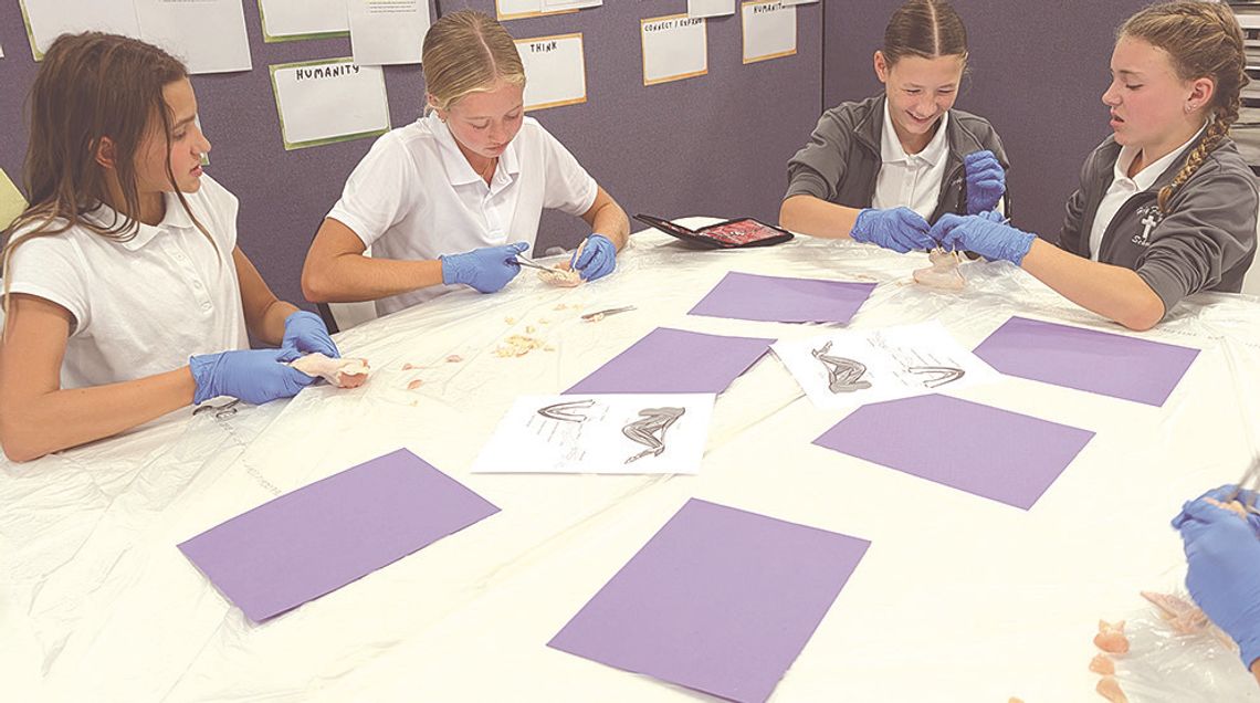 Academy science students hit the labs