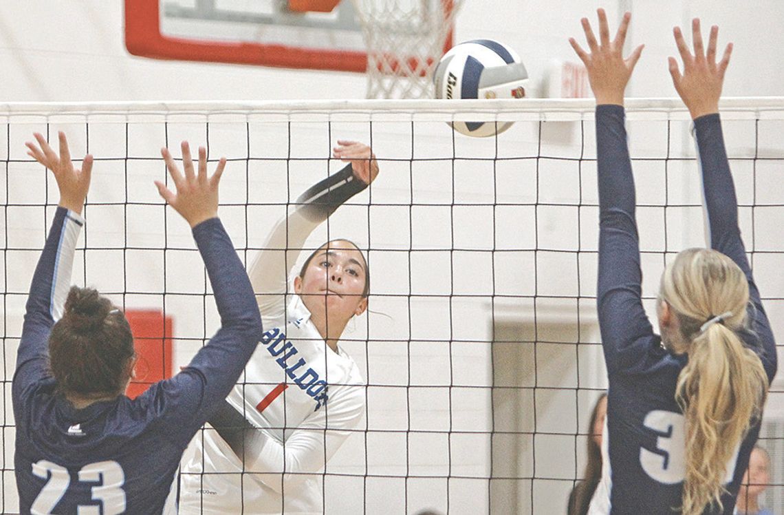 Bulldogs determined in victory