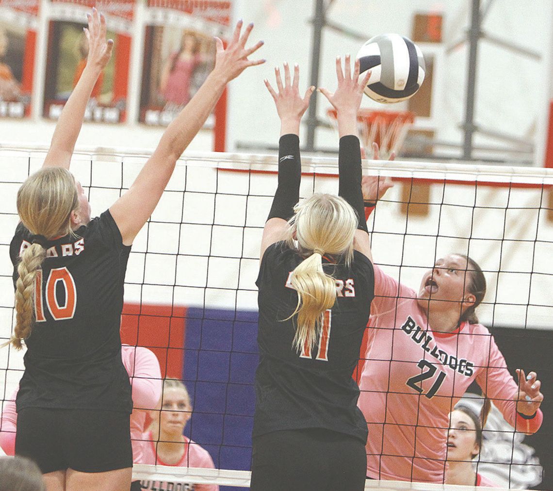 Bulldogs dominate at net, on defense