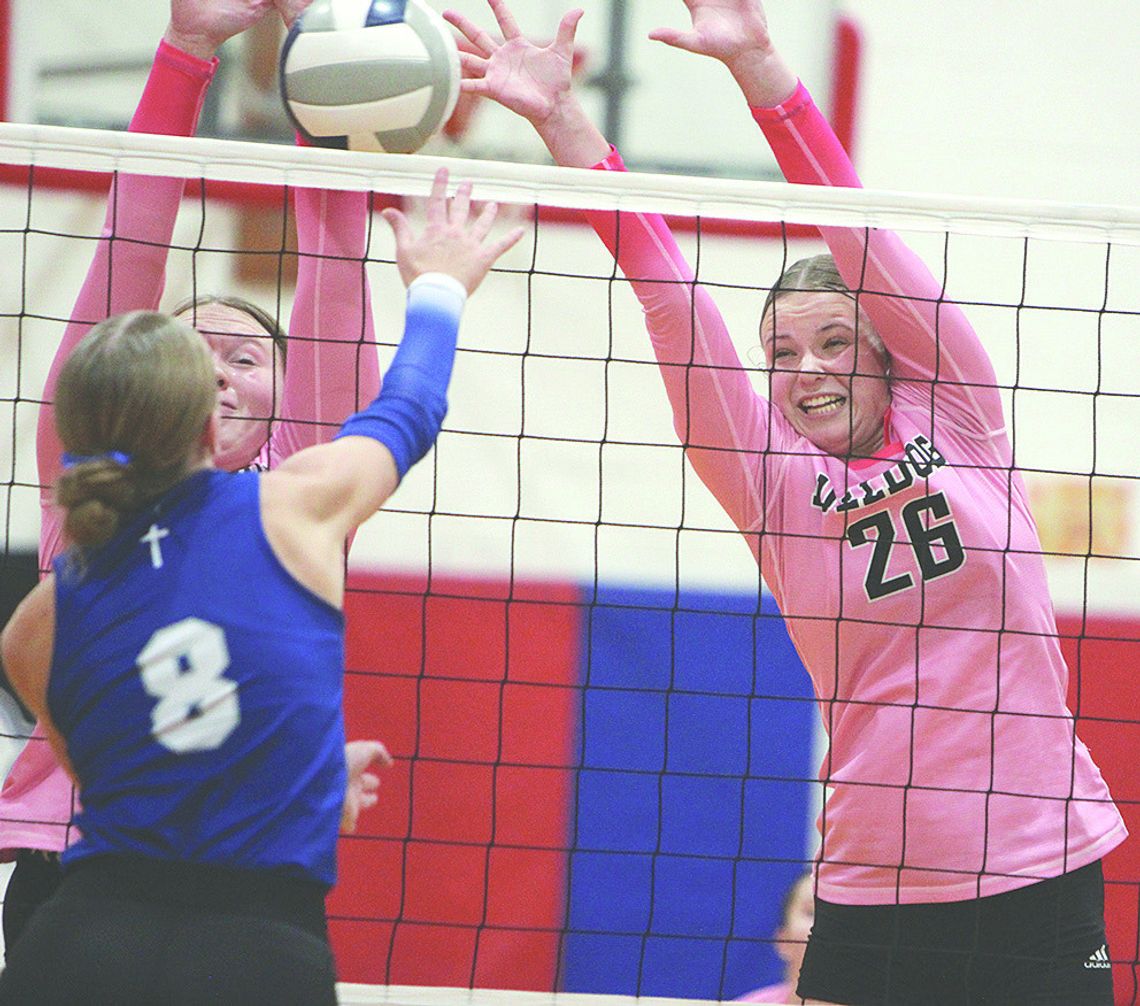 Bulldogs fall to Hastings SC in 5 set district final