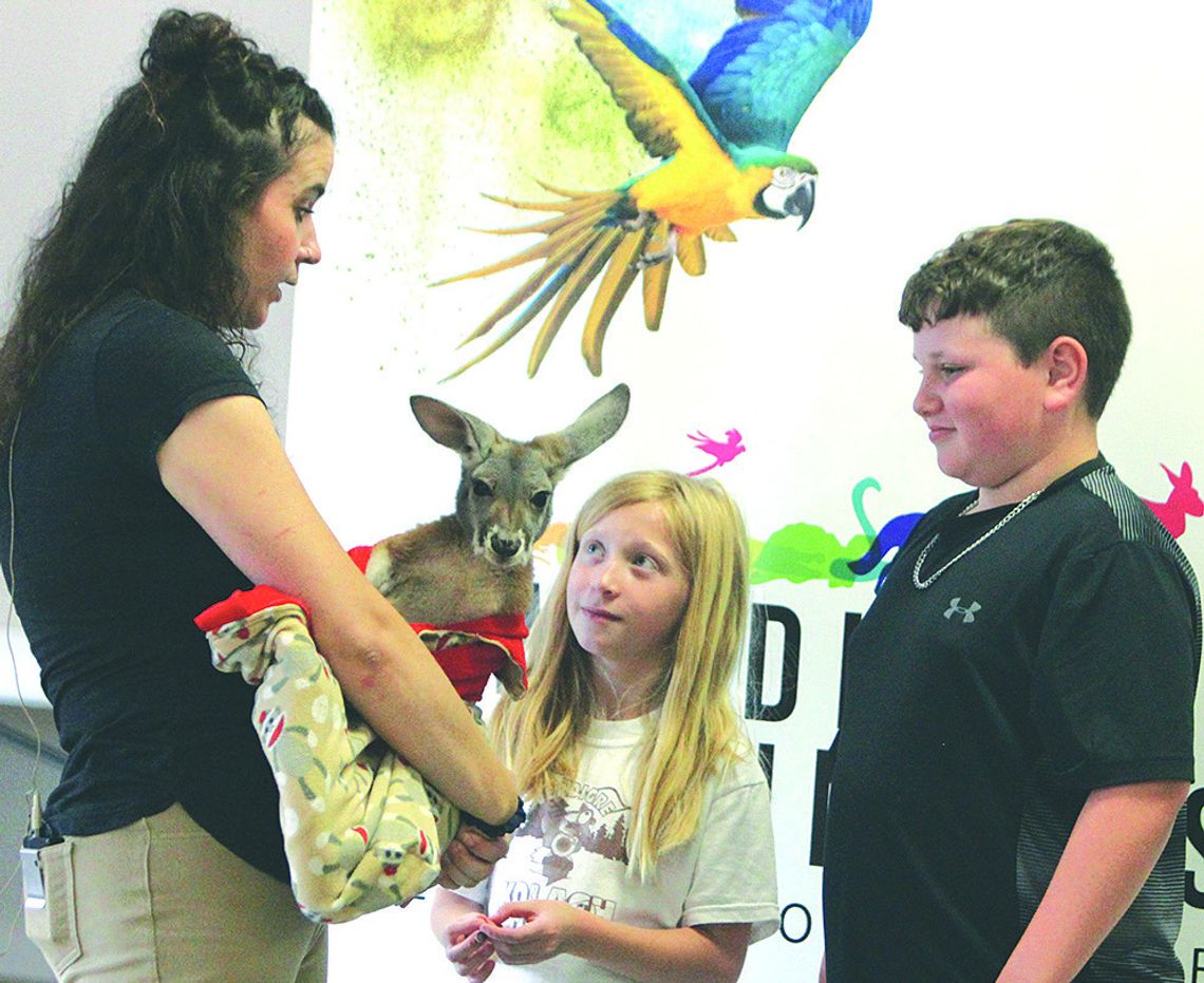Meeting Puddles & Snickers