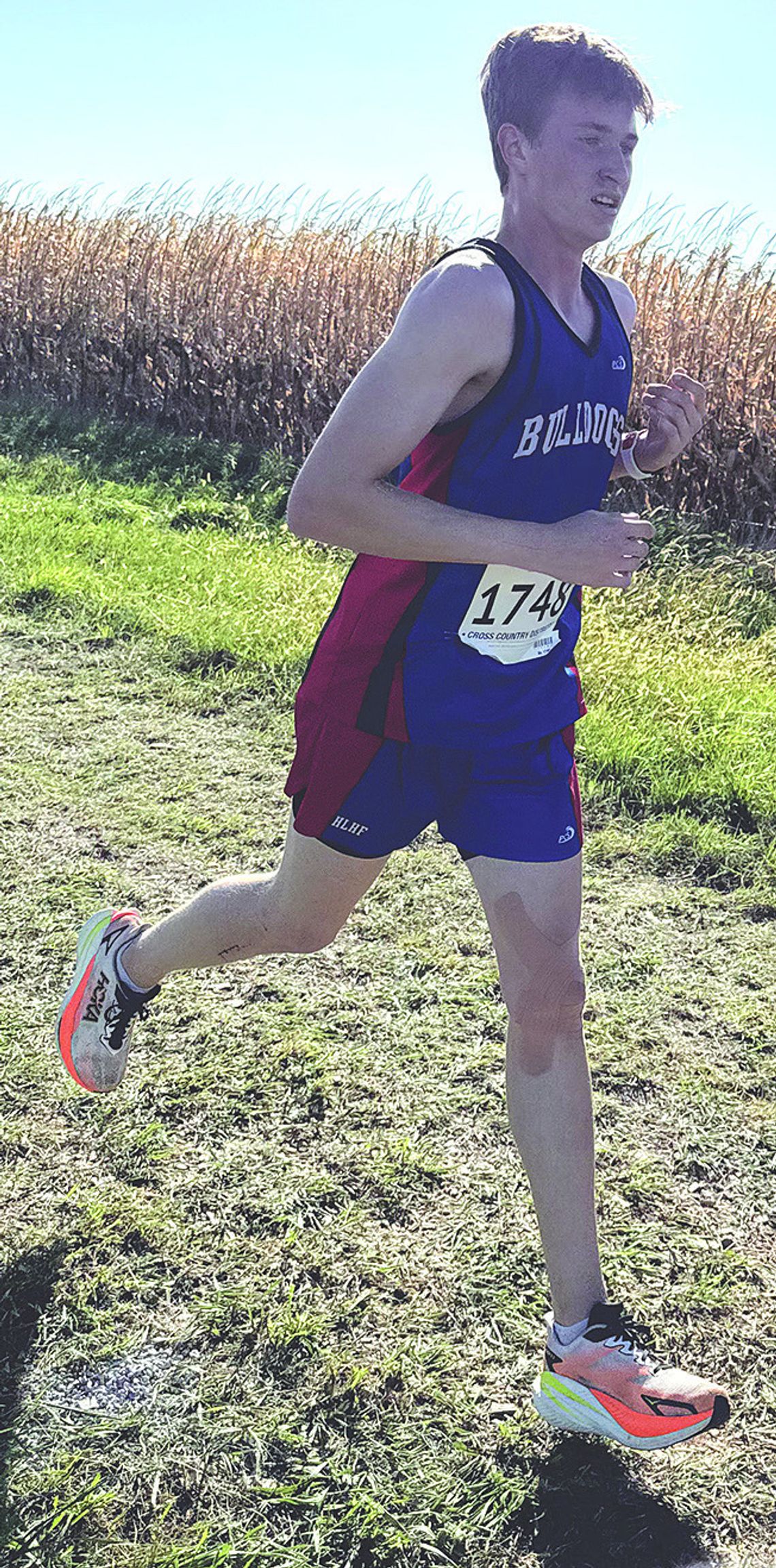 Mohrman earns place at state for Bulldogs